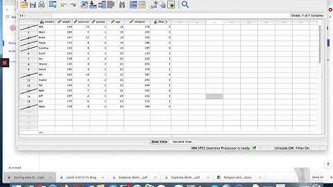 Selecting Cases, calculating the Mean, Standard Deviation, Minimum and Maximum using SPSS