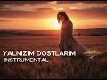 Ibrahim Tatlises Yalnızım Dostlarım Keman Solo Instrumental AI Cover By Anadolu Vibes24 