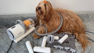 4 in 1 Pecute Pet Grooming Vacuum Review   #pecute #petgrooming