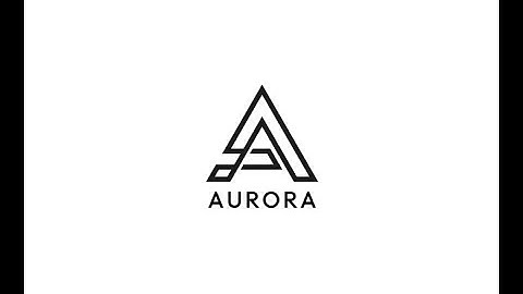 Aurora Divi child Theme installation