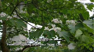 20200502 石碇漫步 Travel In Shiding Dist., New Taipei City Martin Tsai2020
