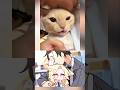 (BlueArchive) 세이아냥이 머리 뽀뽀 //#ブルアカ #bluearchive #memes #cat #shorts