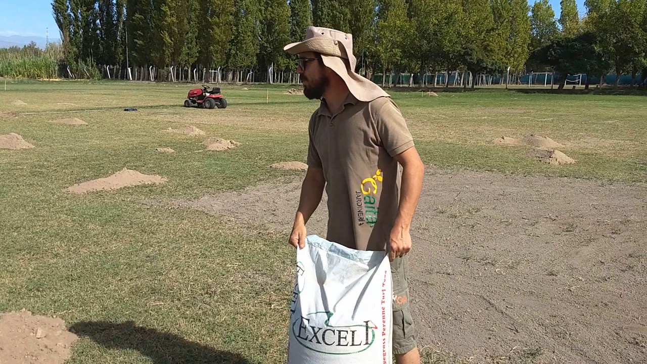 Resiembra de césped - YouTube