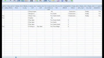 Sample data entry in spss || Sample 4 Part 2 ||