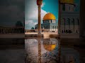 اروع تصوير للاقصى انشودة دمت يااقصى لنا Shorts فلسطين القدس طوفان الاقصى 
