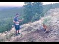 A man playing instrumental caught a fox to enjoy the time to listen