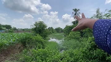 6000/m2 có sẵn 200m thổ cư-Có ao cá đường bê tông giá 2ty1 Định Quán Đồng Nai