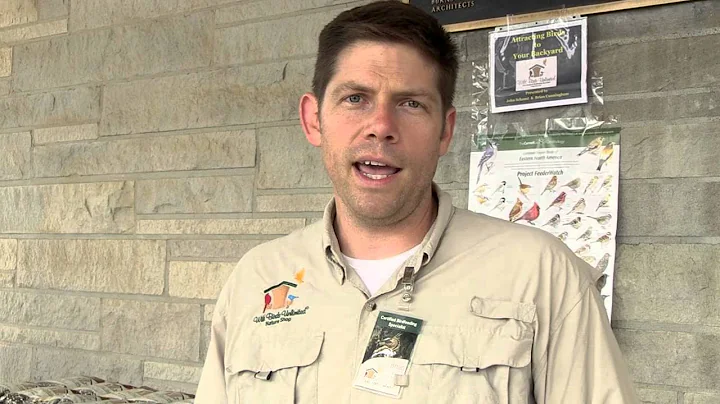 Tips to keep Squirrels out of your Bird Feeders | Indiana DNR