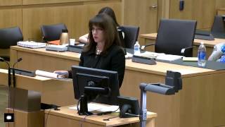 Jodi Arias Trial Day 33 (Full)