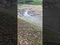 Come Nature Lover 😍😍😍