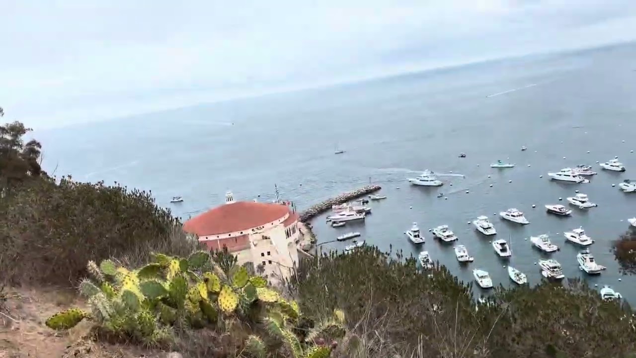 Avalon harbor view from top 