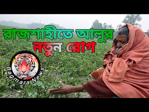 ভিডিও: আলুর রোগ