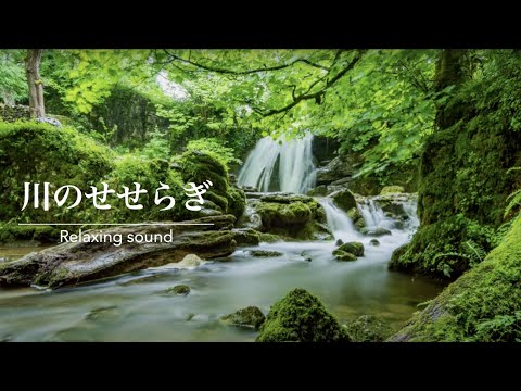 自然の音 ベンガルの魂 東方Vocal」 Silent Silence Siren 「暁Records」 - YouTube