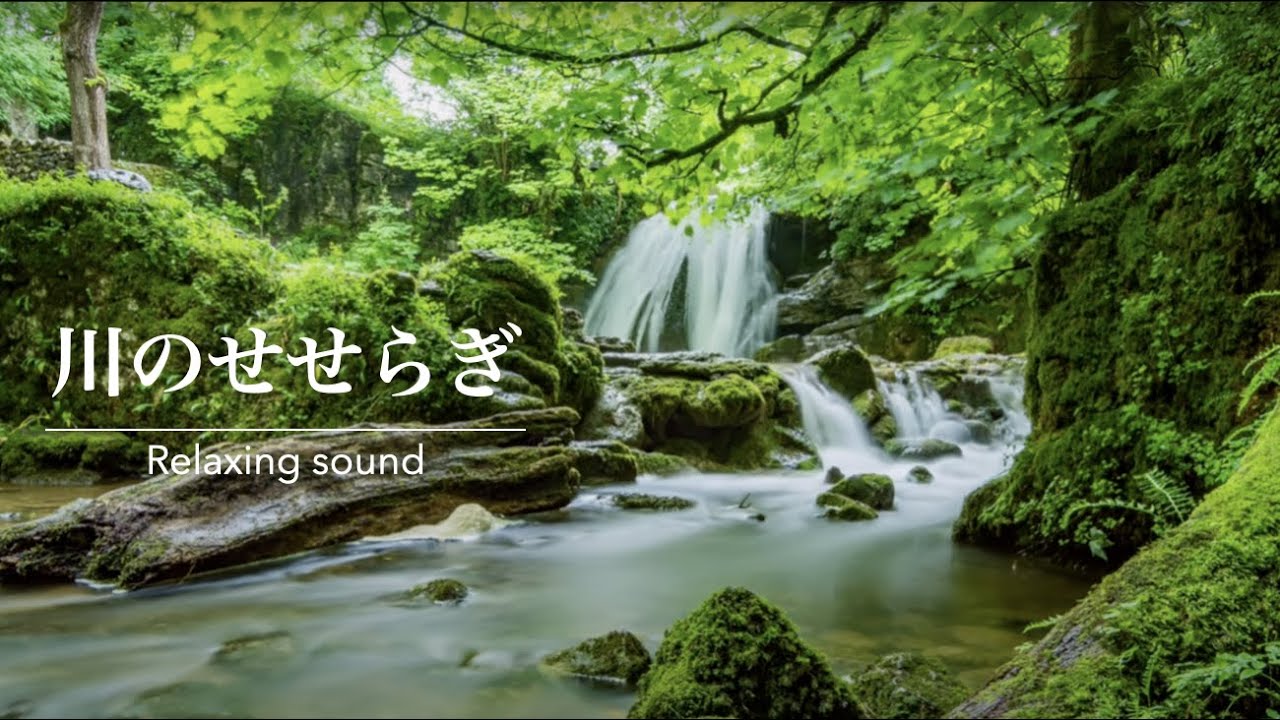 ASMR/環境音】川のせせらぎ・鳥のさえずり・小鳥のさえずり 川の