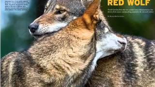 Temperate Deciduous Forest