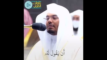 تلاوة مؤثرة وأداء مبهر للشيخ ياسر الدوسري🌟 | #تلاوات_القرآن