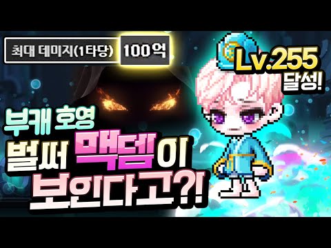 벌써 100억 맥뎀이ㄷㄷ?!!;; 폭풍성장 부캐 호영 255 달성 후 검은마법사 잡으러 출동!!!! [메이플스토리/명훈]