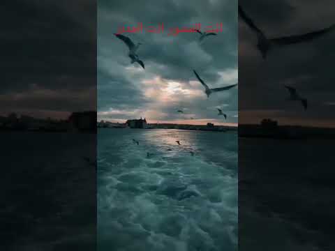 قصيدة الحمد لله والشكر لله ماخاب عبد قصد مولاه المنشد حكيم خيزران