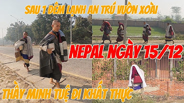 Sau 1 Đêm NGỦ SƯƠNG LẠNH Tại Vườn Xoài - Sức Khoẻ Thầy Minh Tuệ Và Các Sư RẤT TỐT Khi Đi Khất Thực