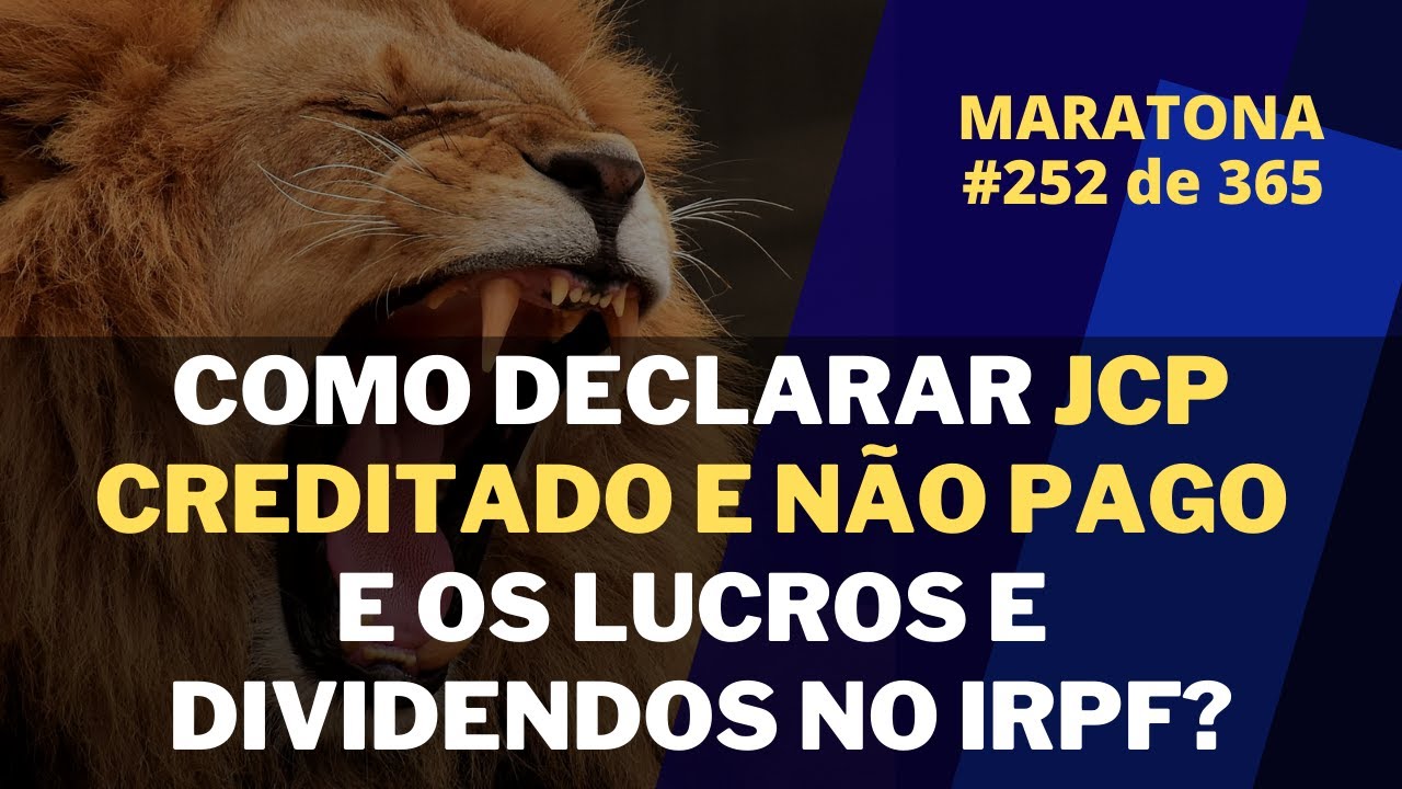 Como declarar JCP Creditados e Não Pagos e Lucros e Dividendos | Maratona 252/365