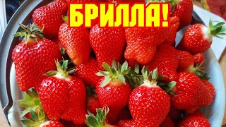 :  ,   !