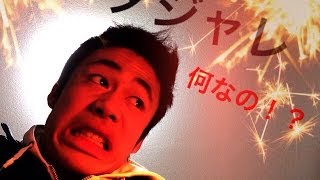 ダジャレの意味のわからなさに物申す！！What puns?