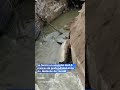 ¡Se abrió la tierra! Surge 'megasocavón' en Av. Malecón de Tonalá en medio de las lluvias