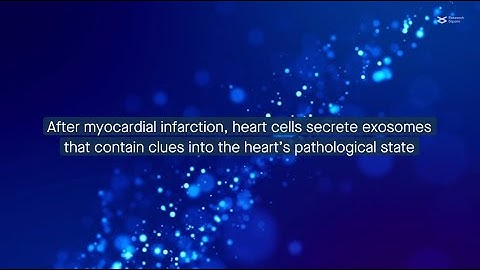 Exosomes as therapeutic tools after heart attack