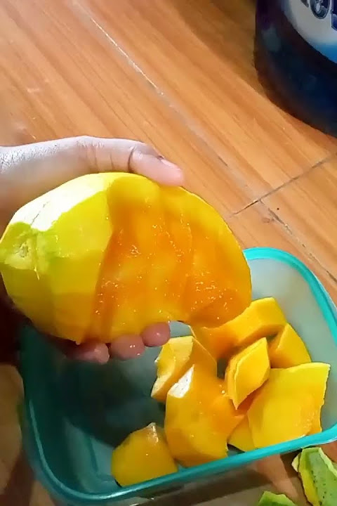 panen mangga | backsound gratis dari inshoot | Musik: pure imagination Pemusik: Rook1e