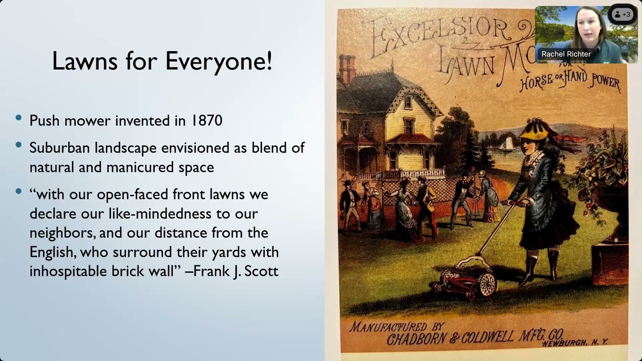 #TMNTuesdays - May 2024 - No Mow May