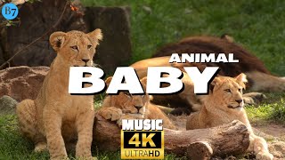 Cute Baby Animals and Soothing Music | Relaxing Nature Videos in 4K screenshot 5