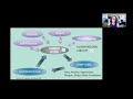 Free How We Heal Webinar: TMS Personality Traits, July 2022