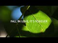 FALL IN LOVE, IT'S FOREVER / 米光美保