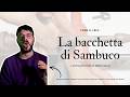 La Creazione della Bacchetta di Sambuco | Bacchetta Harry Potter Fatta a Mano