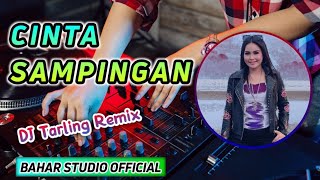 CINTA SAMPINGAN - DIAN ANIC // DJ TARLING REMIX