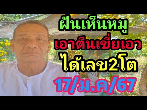 ฝันเห็นหมูเอาตีนเขี่ยเอวได้เลข2โต