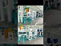 50T/D Wheat flour mill plant#flourmillmachine #flourmill