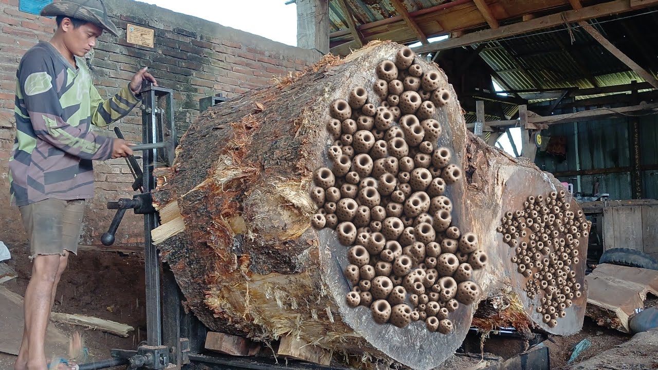 GIANT WOOD BRANCH CUTTINGS ARE MADE INTO THE MOST EXPENSIVE WOOD SLAB ...