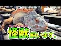 【爬虫類】ホームセンターに「怪獣」を購入しました！