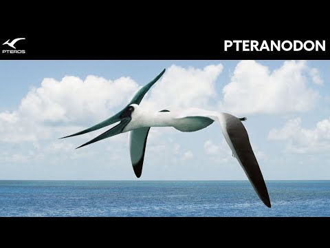 Pteranodon Sounds
