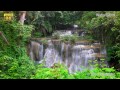 8K STOCK VIDEO. Waterfall. Nature. Real time, time lapse, dolly hyperlapse