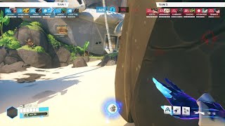 Overwatch Echo/Dva