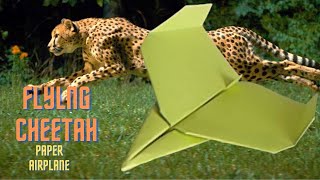 How to Make a Flying Cheetah Paper Plane? / Interesting Facts About Making Paper Planes