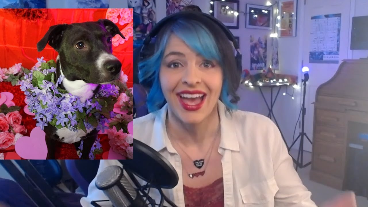 Sentinel benefits Charity Valentines Day- Rescuing Puppies! - YouTube