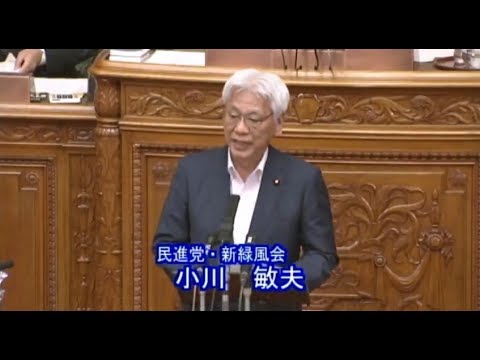  参院本会議 小川敏夫議員質疑 2017年6月15日