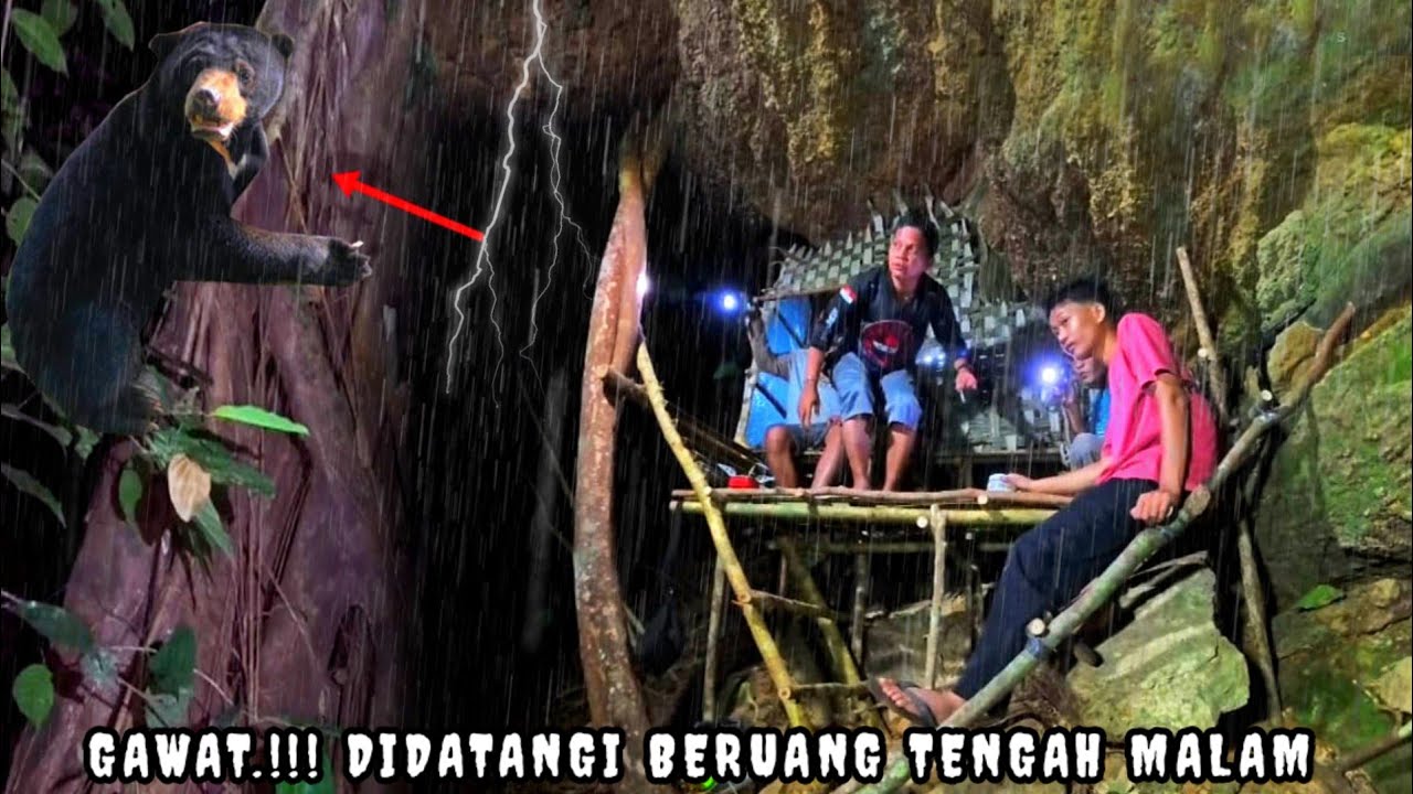 Gawaat!!!🐻, Didatangi beruang tengah malam camping hujan deras tidur di cabin gua batu