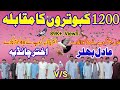 Pakistan Biggest Kabootar Bazi Compitition | 1200 pigeons Race | Aadil Bhular V/S Akhtar Chandyia