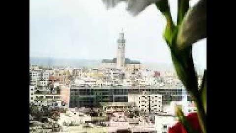 سورة البلد الشيخ ماهر المعيقلي