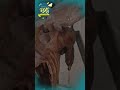 Kambing Guling Rias di Tarogong, Garut | Konsisten Rasa & Kualitas!