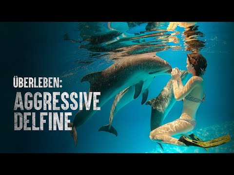 Video: Fälle von Delfinangriffen auf Menschen